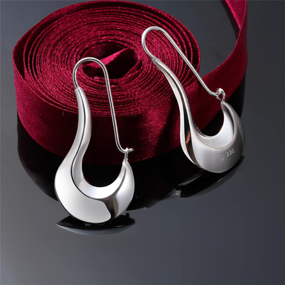 Polished 925 silver modernistic style earrings